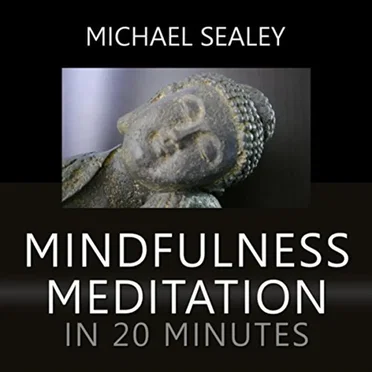 Mindfulness Meditation in 20 Minutes by Michael Sealey - album cover