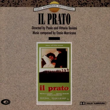 Il prato