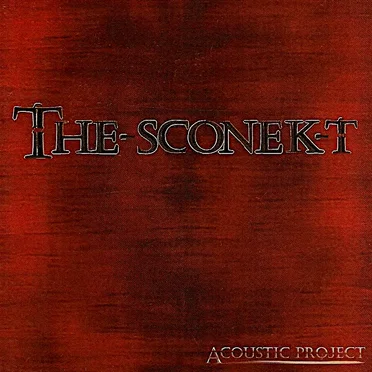 Acoustic project