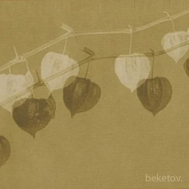 Demo 2012 by beketov. - album cover