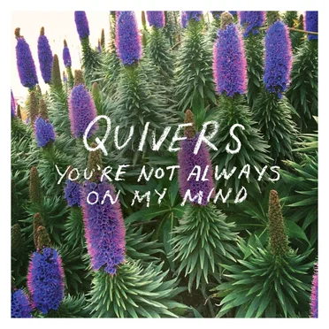 You're Not Always on My Mind