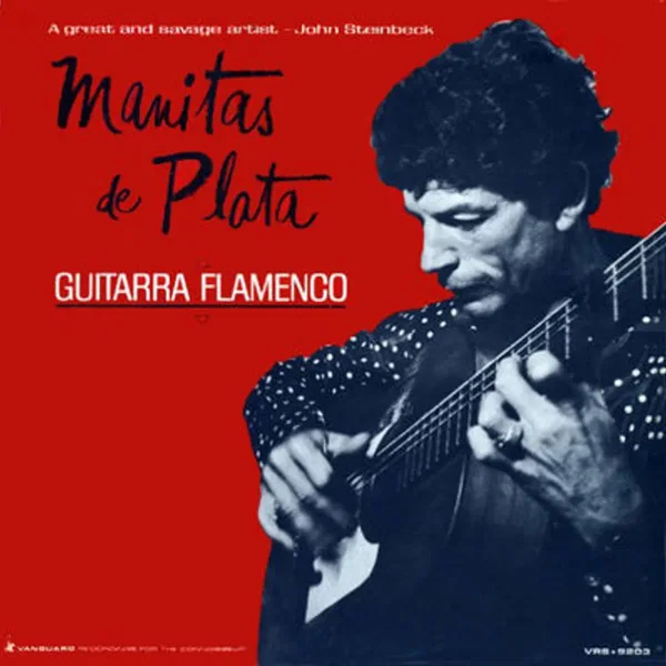 Guitarra Flamenco