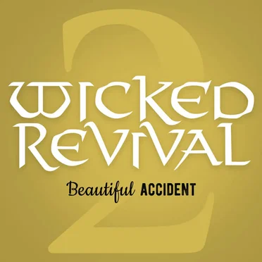 Beautiful Accident 2