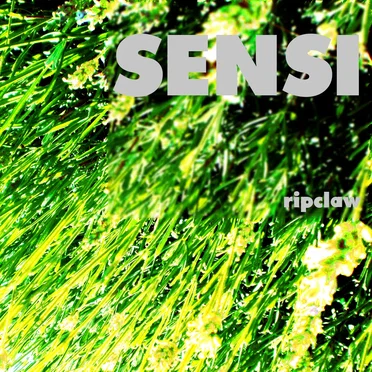 Sensi