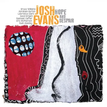 Hope and Despair by Josh Evans - album cover