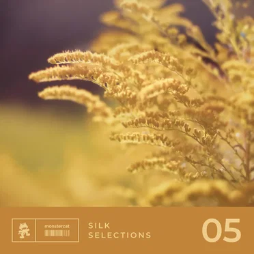 Silk Selections 05 by Various Artists - album cover
