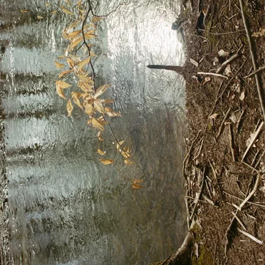 Ourselves & Blue Mountain Lullaby