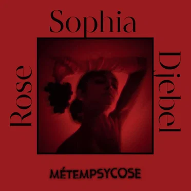 Métempsycose
