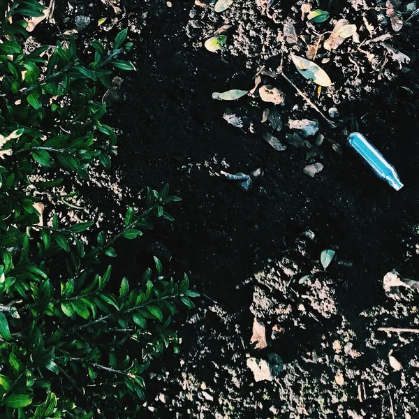 CXT003: With The Pulse