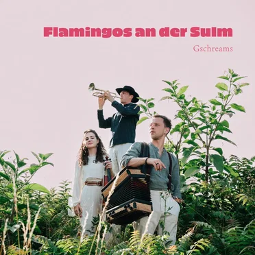Flamingos an der Sulm by Gschreams - album cover