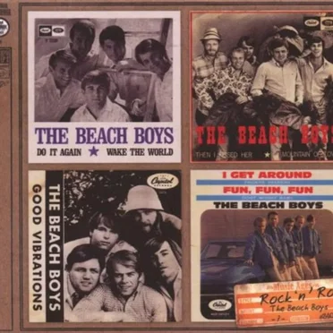 Music Ages, Volume 7: The Beach Boys