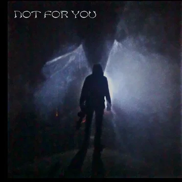 Not for You by Not for You - album cover
