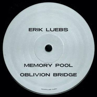 Reversing Time by Erik Luebs - album cover