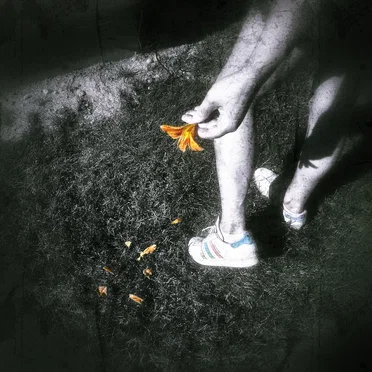 Pick Me by GOCK - album cover