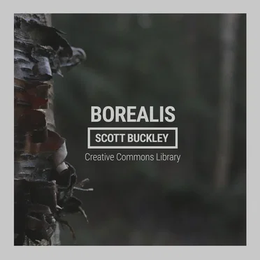 Borealis