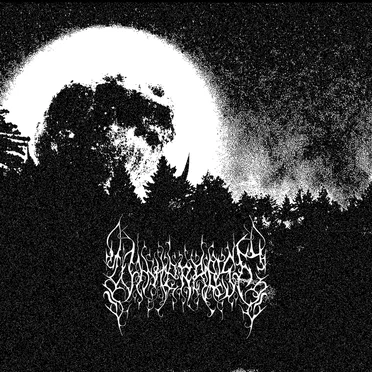 Winterreise by Winterreise - album cover
