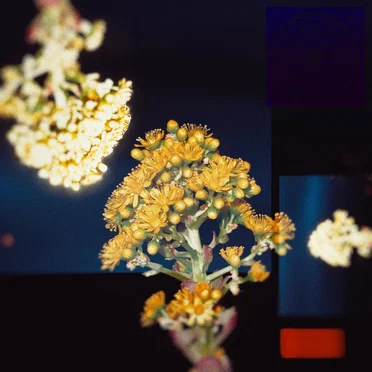 Wake Me When It’s Over / Untouch