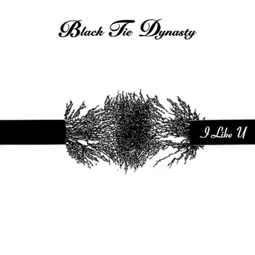 I Like You by Black Tie Dynasty - album cover