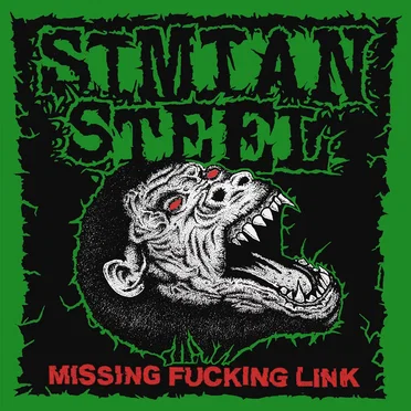 Missing Fucking Link