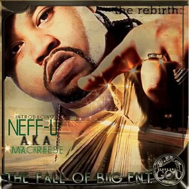 The Rebirth : The Fall Of Bug Ent