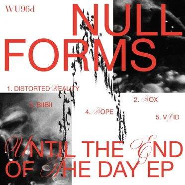Until The End Of Day by Null Forms - album cover