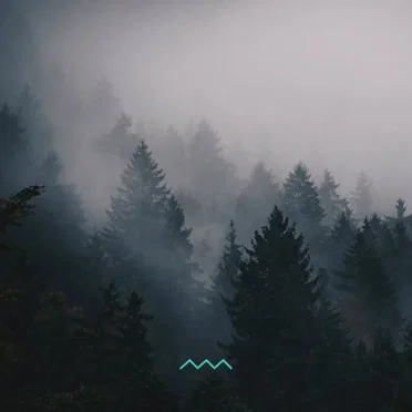 MISTY MORNINGS