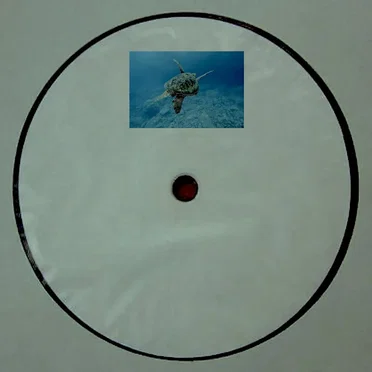 Sea turtle migration