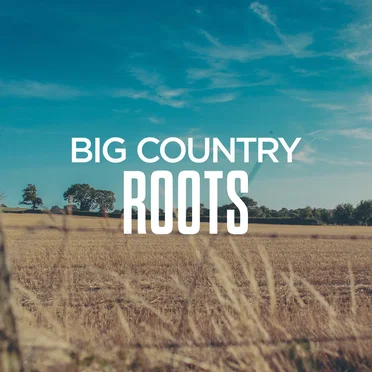 Big Country Roots by Various Artists - album cover
