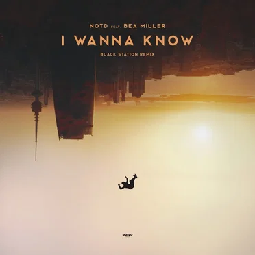 I Wanna Know (Black Station remix)