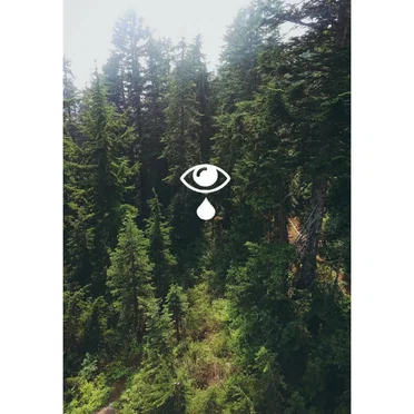 Waterfall Eyes by waterfall eyes - album cover