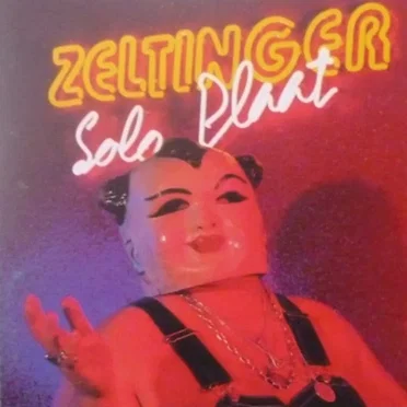 Solo Plaat by Zeltinger - album cover