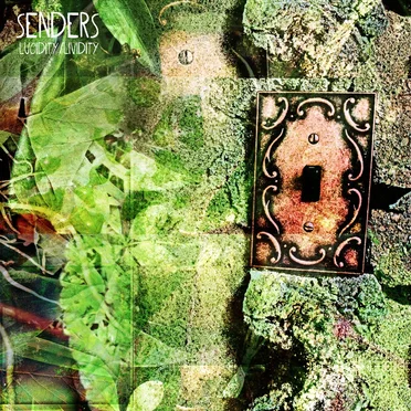 Lucidity / Lividity