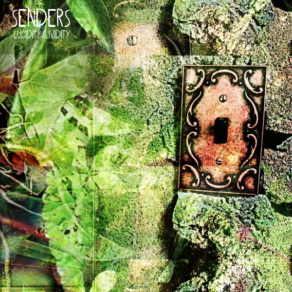Lucidity / Lividity