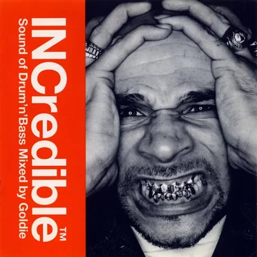 INCredible Sound of Drum 'n' Bass