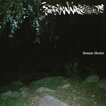 Dreamfloor by Donnie Heeler - album cover