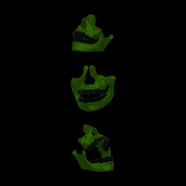 Joey Chaos and The Ghosts