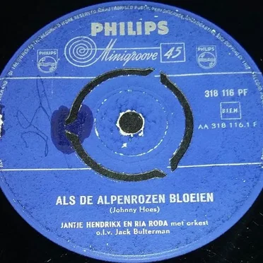 Als de alpenrozen bloeien