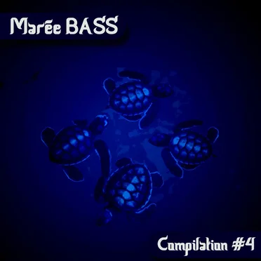 Marée BASS Compilation #4 by Various Artists - album cover