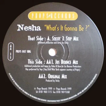 What's It Gonna Be? by Nesha - album cover