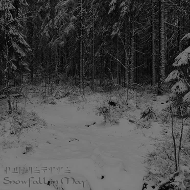 Snowfall in May by Strunkiin - album cover