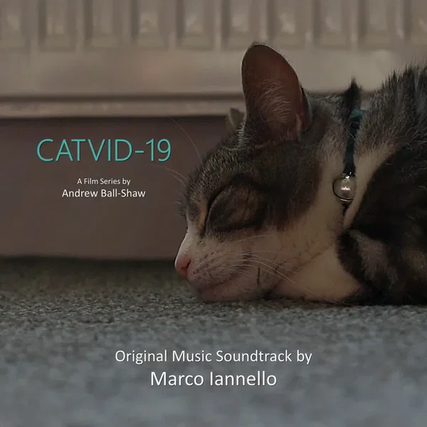 CATVID-19