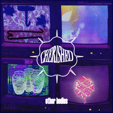 Other Bodies by Cherished - album cover
