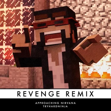 Revenge (remix)