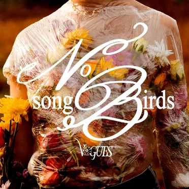 No Songbirds by Vogues - album cover