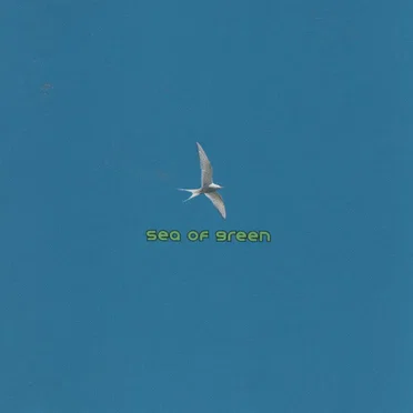 Time to Fly by Sea of Green - album cover