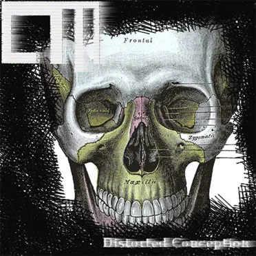 Distorted Conception