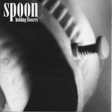 Holding Flowers by Spoon - album cover