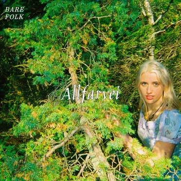 Allfarvei by Bare Folk - album cover