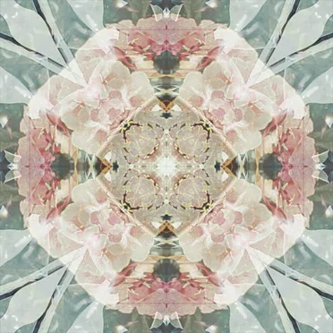 Is Life Truly Beautiful?