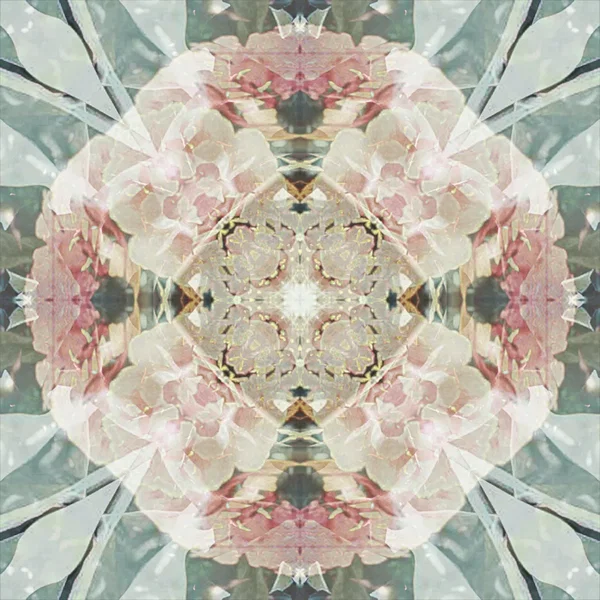 Is Life Truly Beautiful?